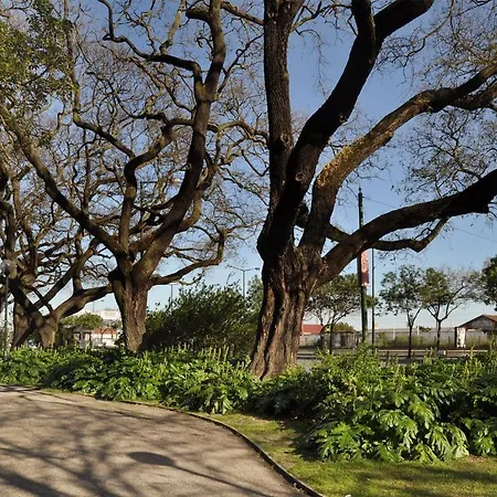 Apartman Hello Santos